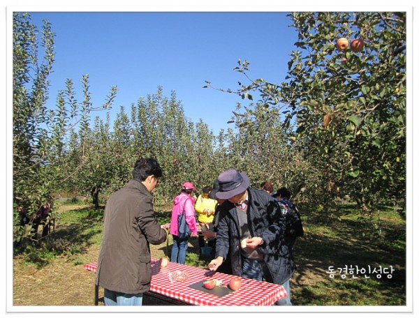 2a4ca167cf35e46d746df76df2382712_1730893