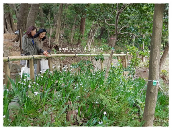 2b1186ec568a3d882bcb27f83d35ce40_1742449