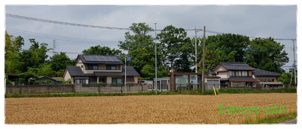 527ee5b33e9f57f5bff47368bf4177a5_1742783