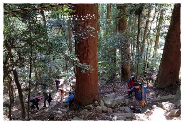 527ee5b33e9f57f5bff47368bf4177a5_1742784