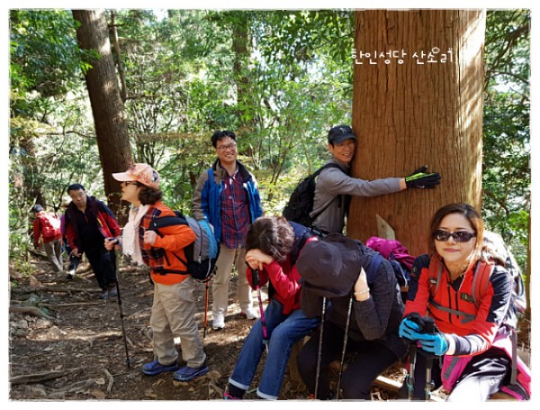 527ee5b33e9f57f5bff47368bf4177a5_1742784