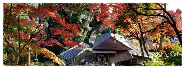 527ee5b33e9f57f5bff47368bf4177a5_1742785