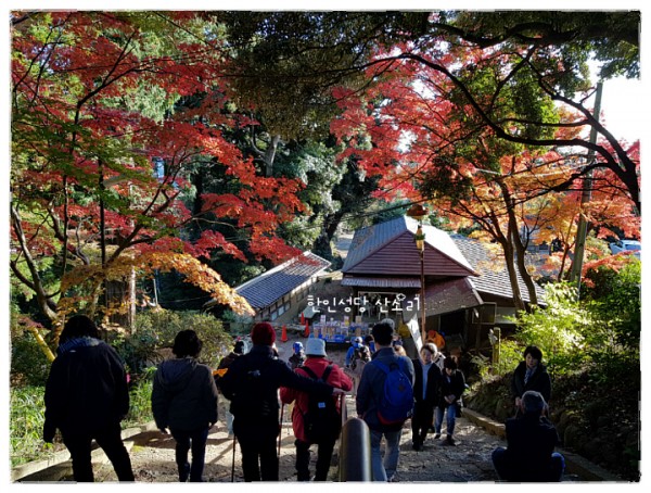 527ee5b33e9f57f5bff47368bf4177a5_1742785