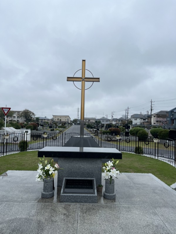 5f91390559666489f189b5ee9afd58cf_1742893