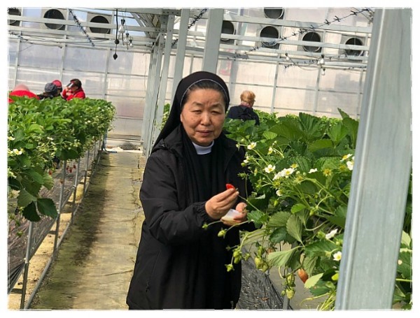 7e8a94d87f88ecad5f4803338dbd84a1_1742387