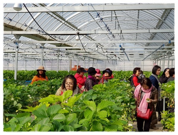 7e8a94d87f88ecad5f4803338dbd84a1_1742387