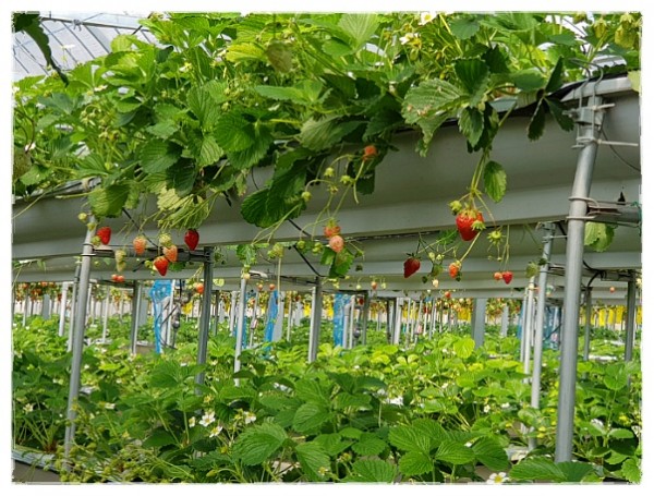 7e8a94d87f88ecad5f4803338dbd84a1_1742387