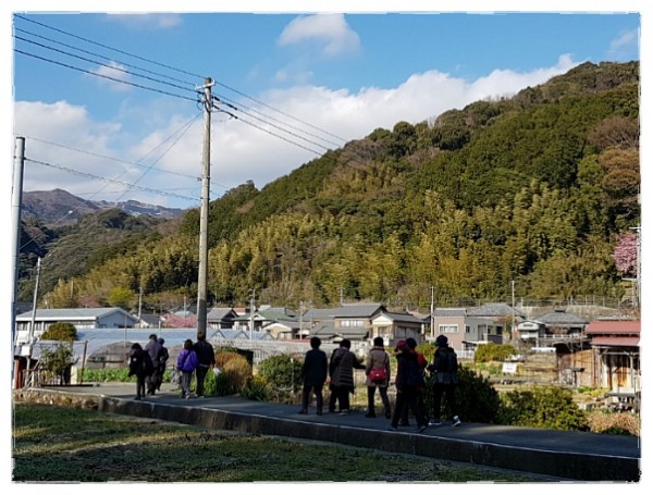 7e8a94d87f88ecad5f4803338dbd84a1_1742388