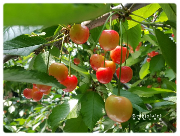 7e8a94d87f88ecad5f4803338dbd84a1_1742390