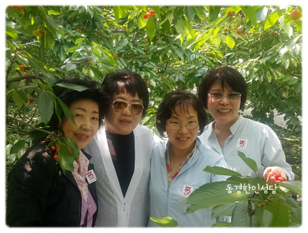 7e8a94d87f88ecad5f4803338dbd84a1_1742390