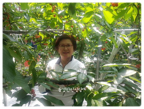 7e8a94d87f88ecad5f4803338dbd84a1_1742390