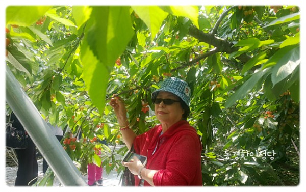 7e8a94d87f88ecad5f4803338dbd84a1_1742390