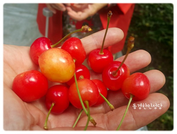 7e8a94d87f88ecad5f4803338dbd84a1_1742390