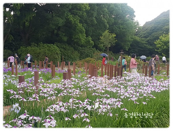 7e8a94d87f88ecad5f4803338dbd84a1_1742391