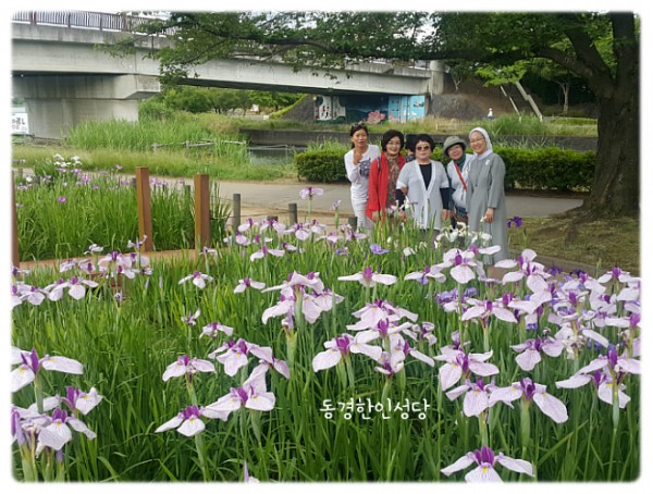 7e8a94d87f88ecad5f4803338dbd84a1_1742391