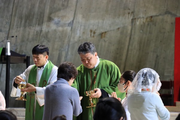 8f427d4d59c040820ab8491c205163d2_1741590