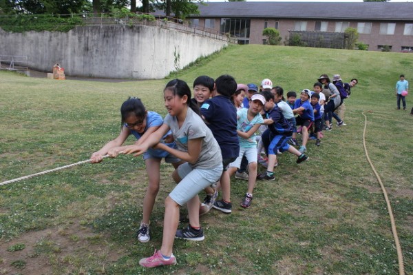 9294e1baecc04c417e85477b3ba6249b_1743123