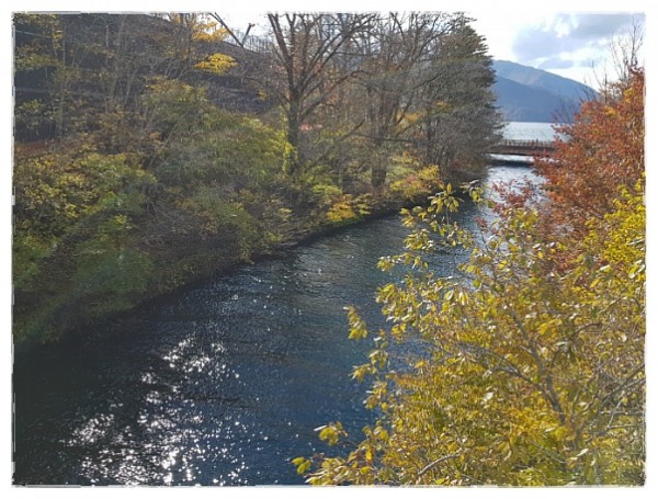 9b67d5f2aab7c84010e023c898de3650_1742441