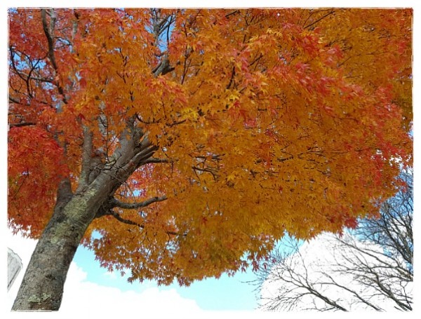 9b67d5f2aab7c84010e023c898de3650_1742441