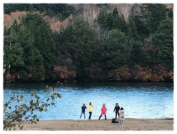 9b67d5f2aab7c84010e023c898de3650_1742441