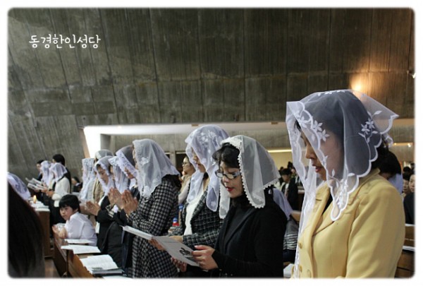 14bcd6c9ebd49fcbddd570bb474ef934_1743633