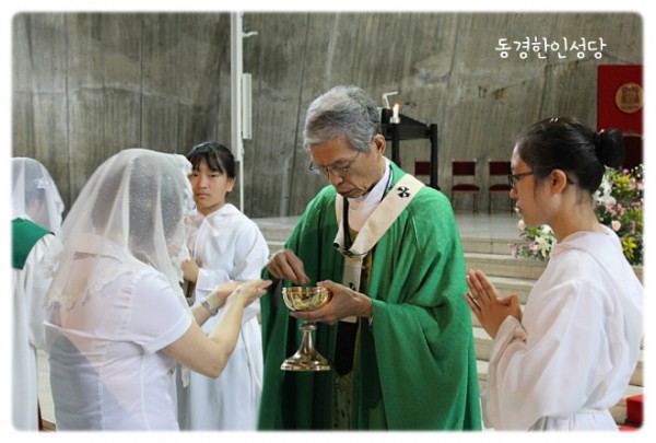 46f9e21ba1fa2f66930b46aca0b6e0e0_1745845