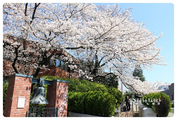 476f1305f9bab50d4e26c18ef4854a0d_1744780