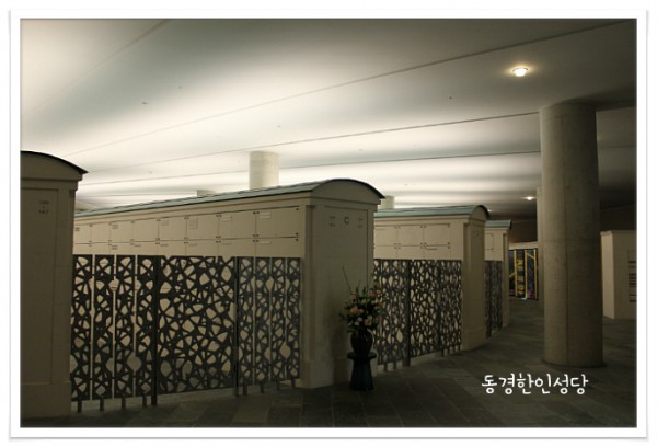 53cba404e9e169ce8a421f24b41f5b6a_1743687