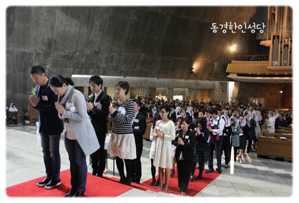 6bb227cfdf6a12bc89c3ea0d312c75ff_1743842