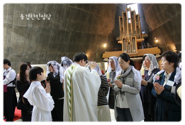 6bb227cfdf6a12bc89c3ea0d312c75ff_1743842