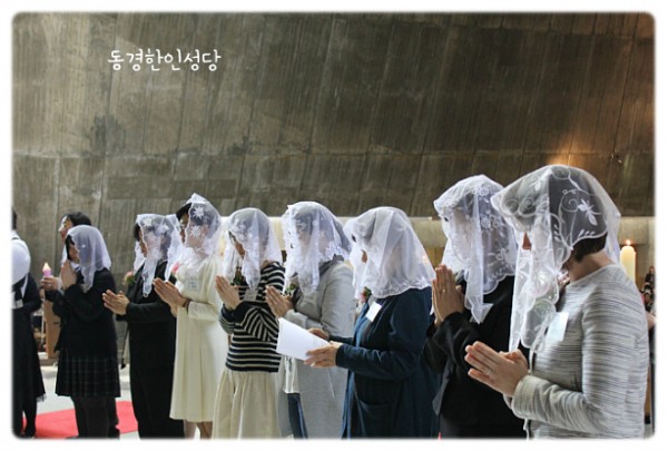 6bb227cfdf6a12bc89c3ea0d312c75ff_1743842