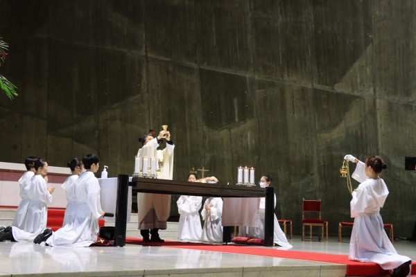 b1fb3b726e1a0d63fa7e5fd2f2b70e0f_1745305