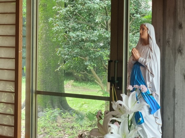 144ac149532333ff4039736f6a88d0ea_1748218