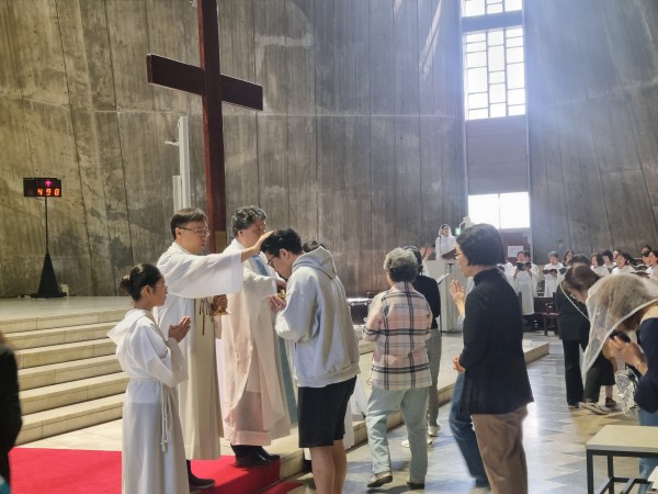 25567dc3ff6fb6b286a39036d837d77e_1746993