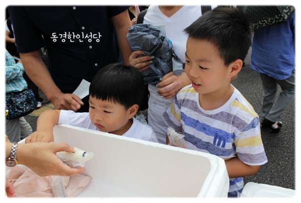 2942b7b1fcd8a19c11a31d14c45ccc58_1746519