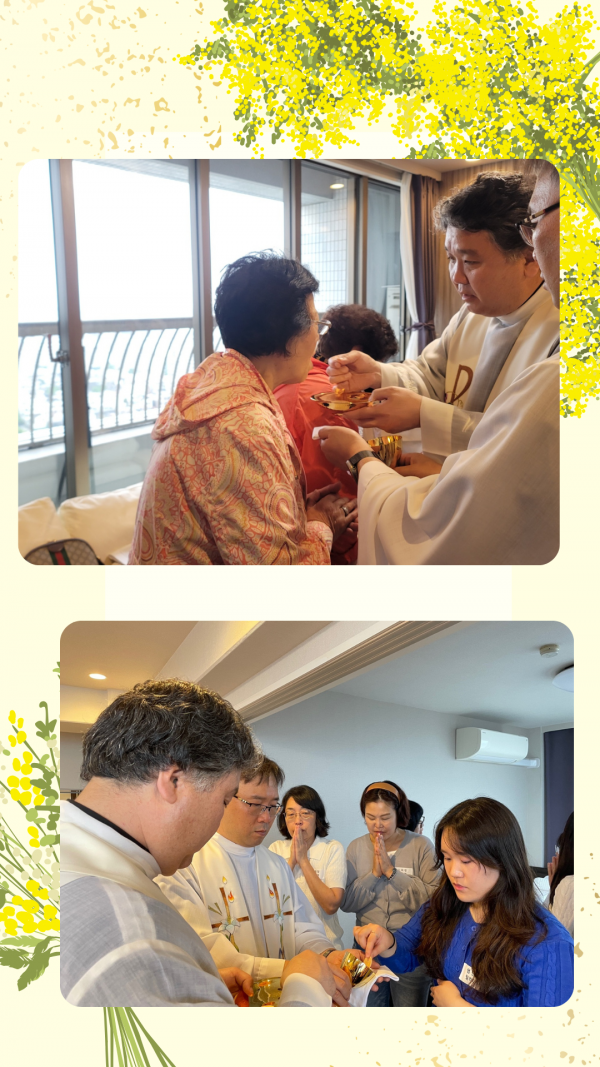 35f4f312a74f68ccf444c3d324e8c841_1747663