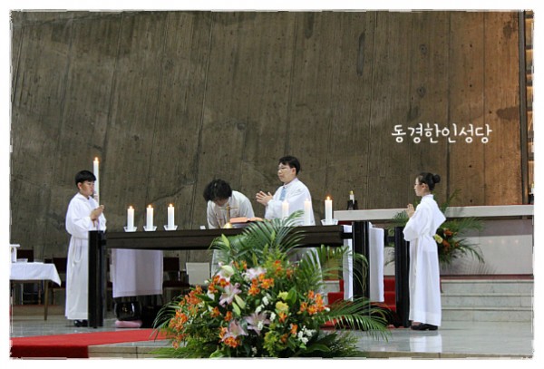 0757ff96acd2a65c22b84d99da3b20dd_1750076