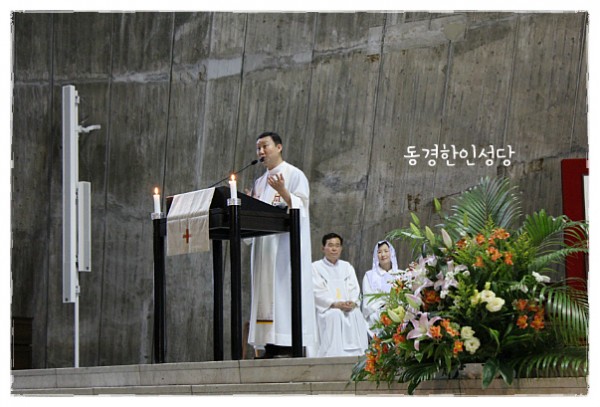 0757ff96acd2a65c22b84d99da3b20dd_1750076