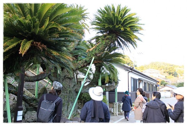 11ec72b9febe63a2025b3355a7250b6c_1749900