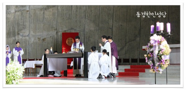 1d450dbe5d3dceebcbbde414f492539d_1749710