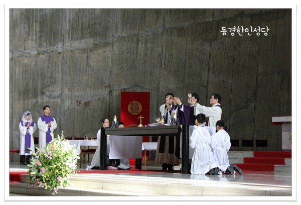 1d450dbe5d3dceebcbbde414f492539d_1749710