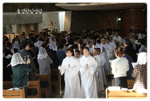 3e384026c99eaedb6a7653e4d43de29a_1749713