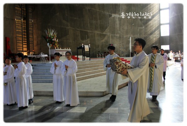 3e384026c99eaedb6a7653e4d43de29a_1749713