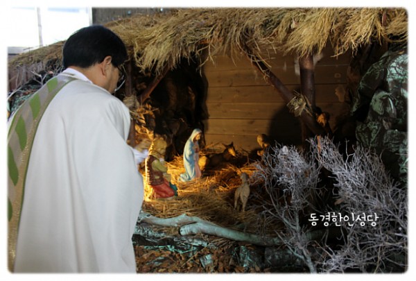 3e384026c99eaedb6a7653e4d43de29a_1749713