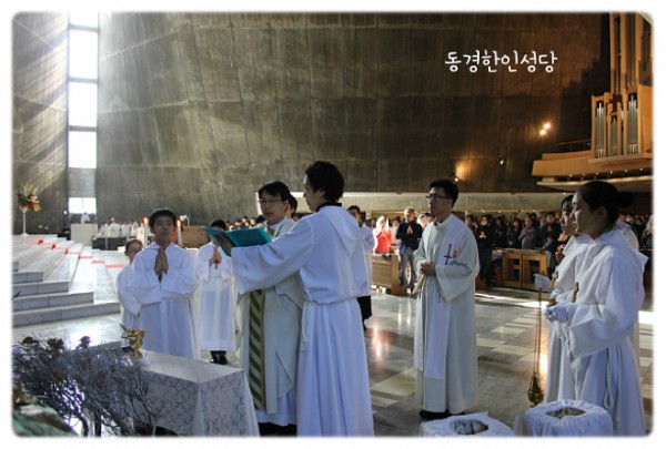 3e384026c99eaedb6a7653e4d43de29a_1749713