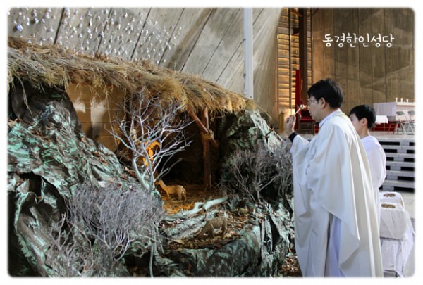 3e384026c99eaedb6a7653e4d43de29a_1749713