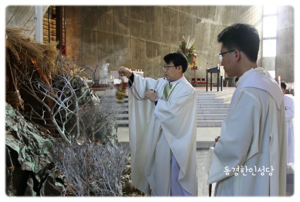 3e384026c99eaedb6a7653e4d43de29a_1749713