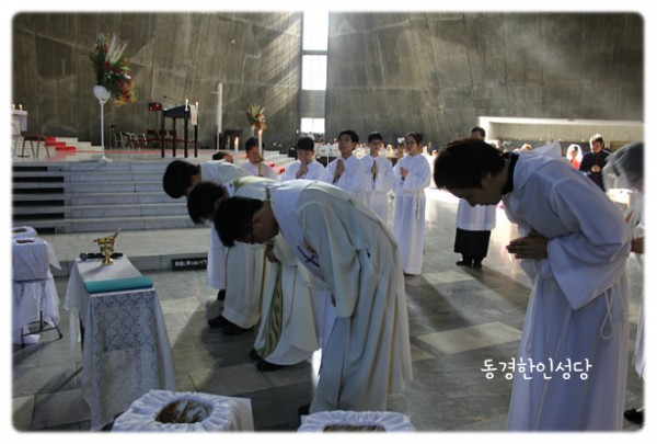 3e384026c99eaedb6a7653e4d43de29a_1749713