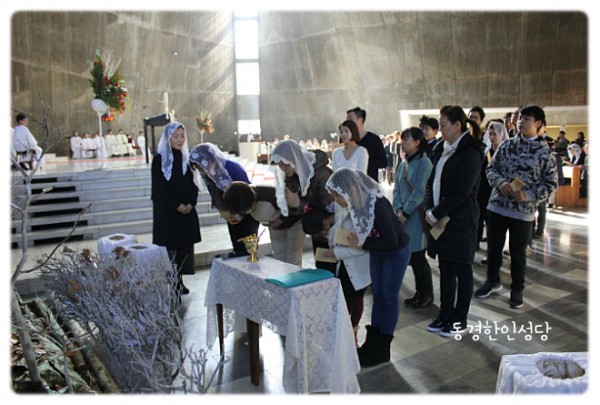 3e384026c99eaedb6a7653e4d43de29a_1749713