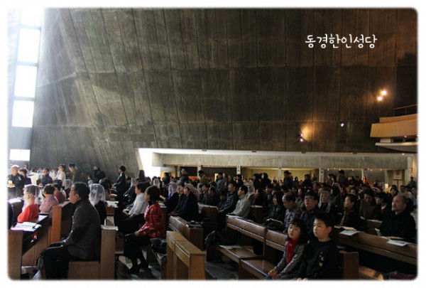 3e384026c99eaedb6a7653e4d43de29a_1749713